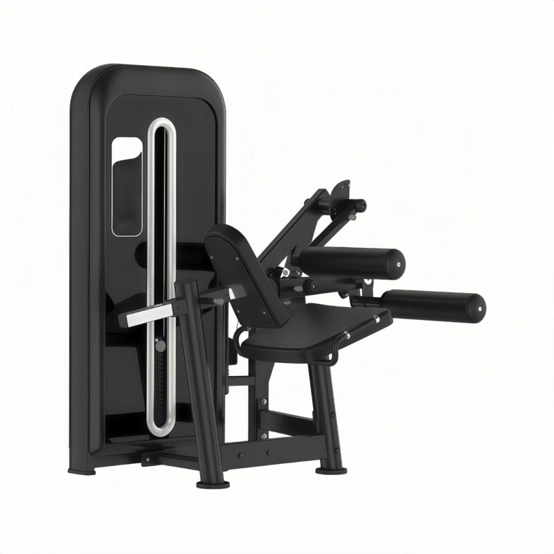 Seated Leg Curl