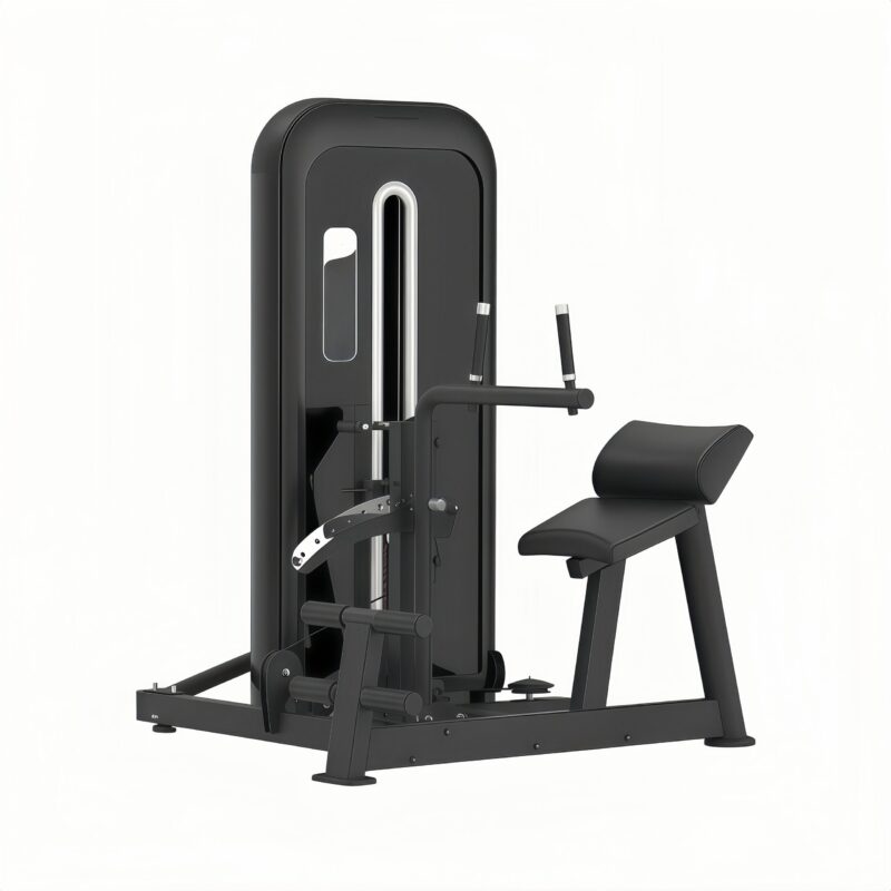 Lower Back/Abdominal Machine