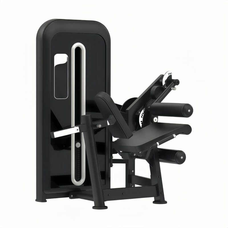 Leg Extension/ Leg Curl
