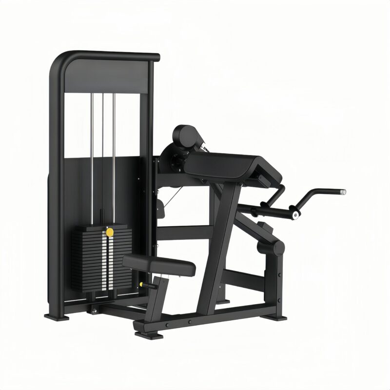 PressBiceps Curl /Tricepas