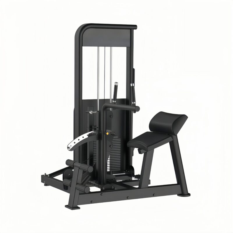 Lower Back/Abdominal Machine
