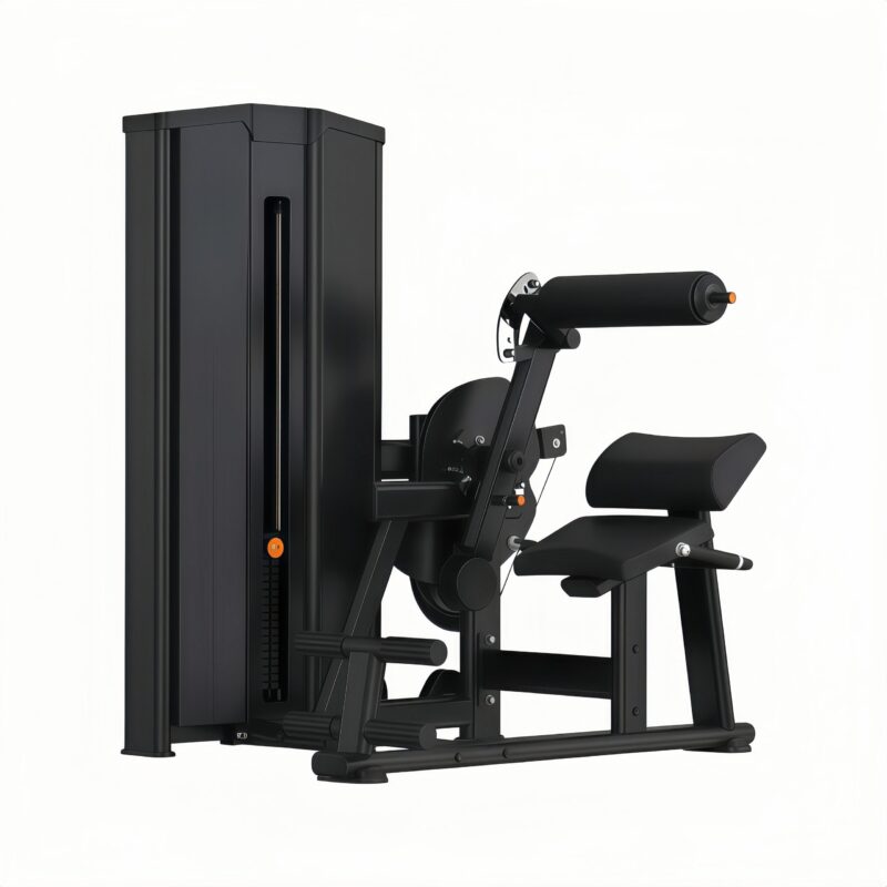 Lower Back/Abdominal Machine