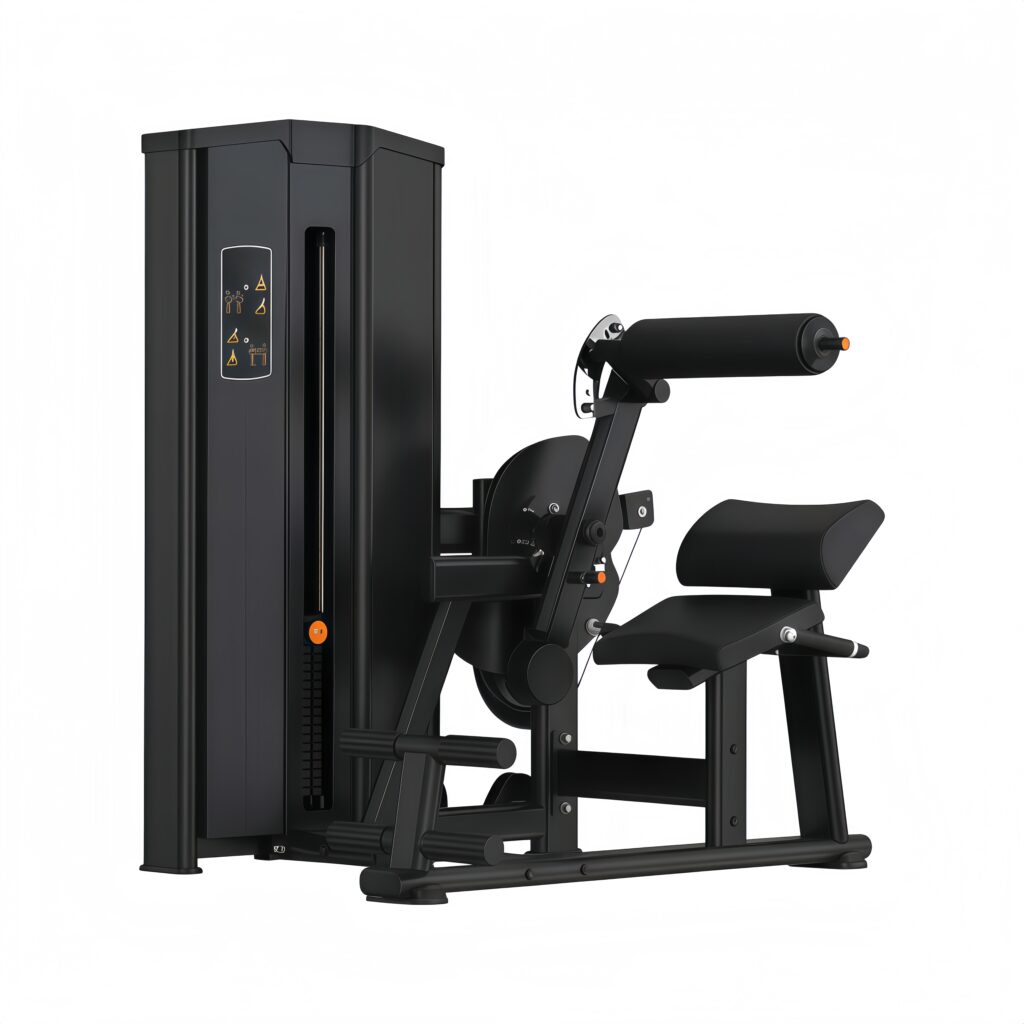 Lower Back/Abdominal Machine