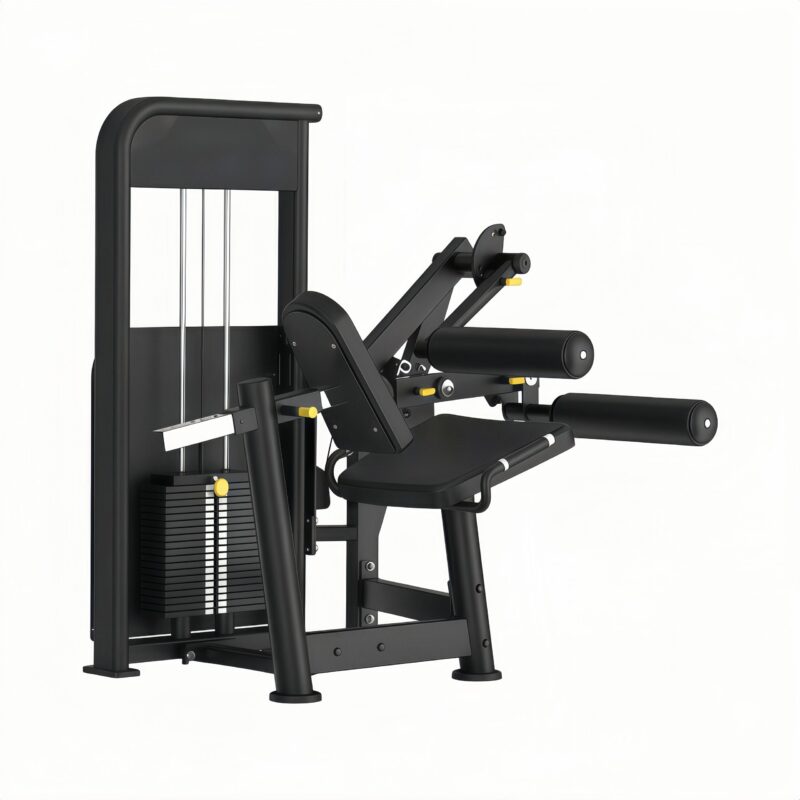 Seated Leg Curl