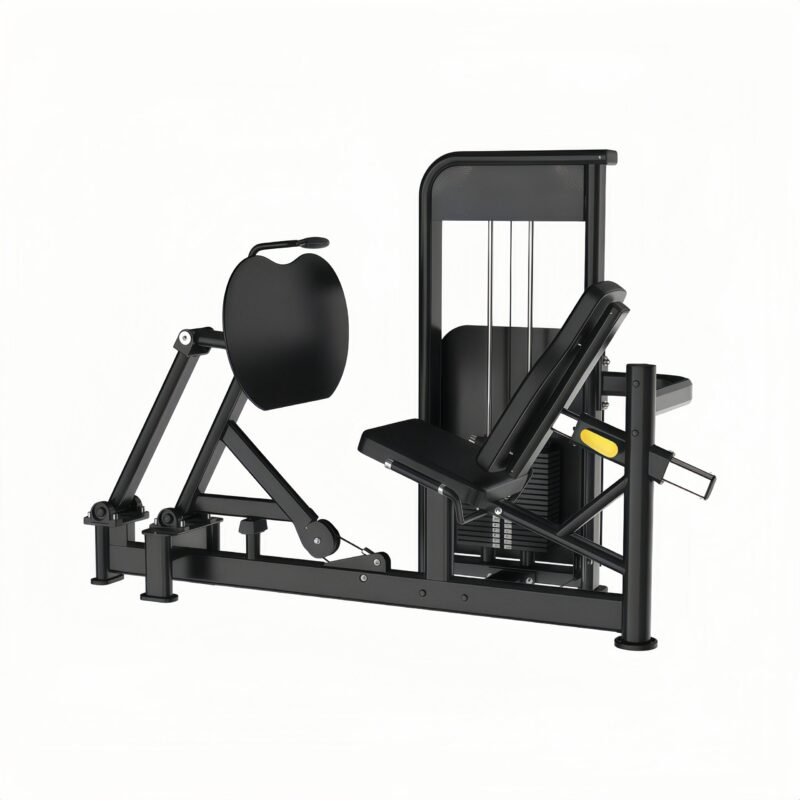 Leg Press