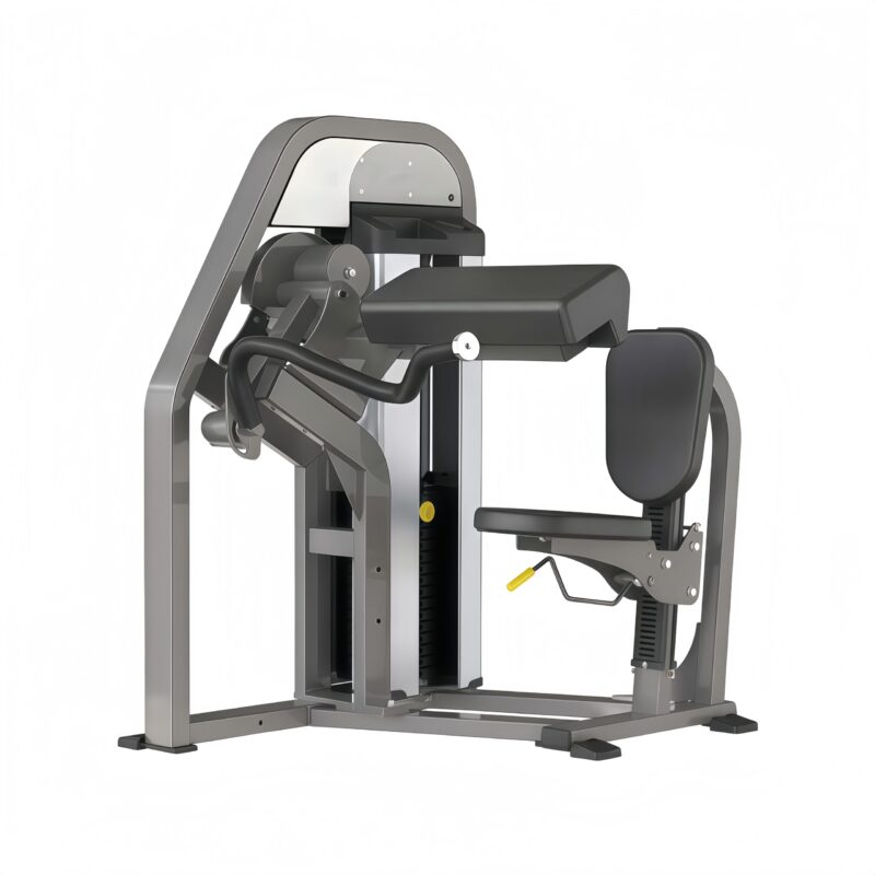 Biceps Curl
