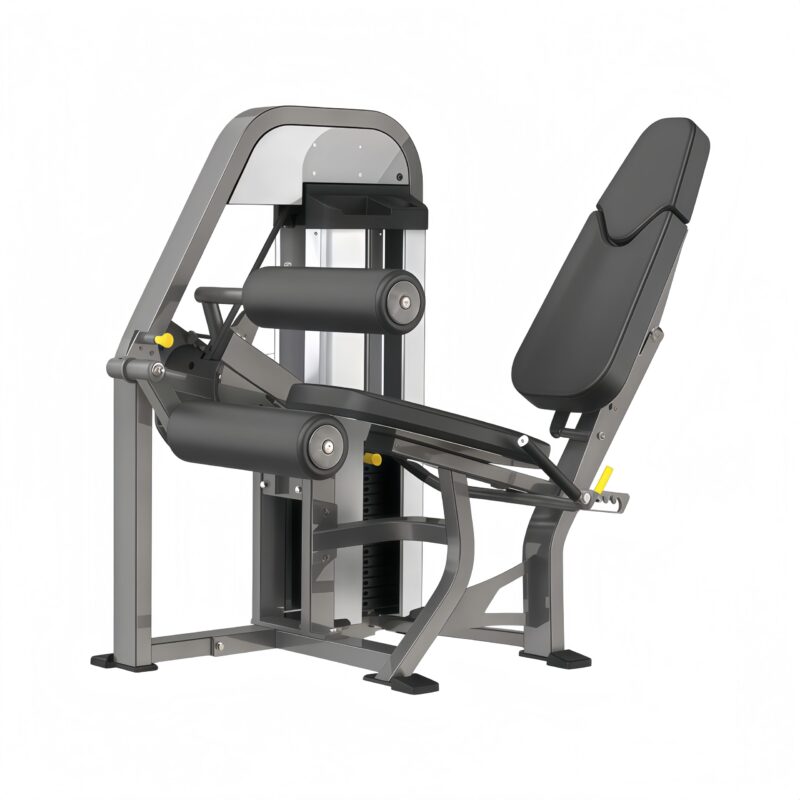 Seated Leg Curl