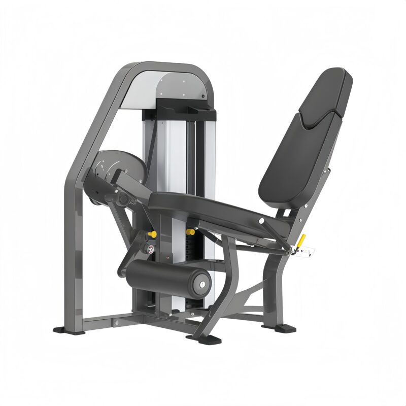 Leg Extension