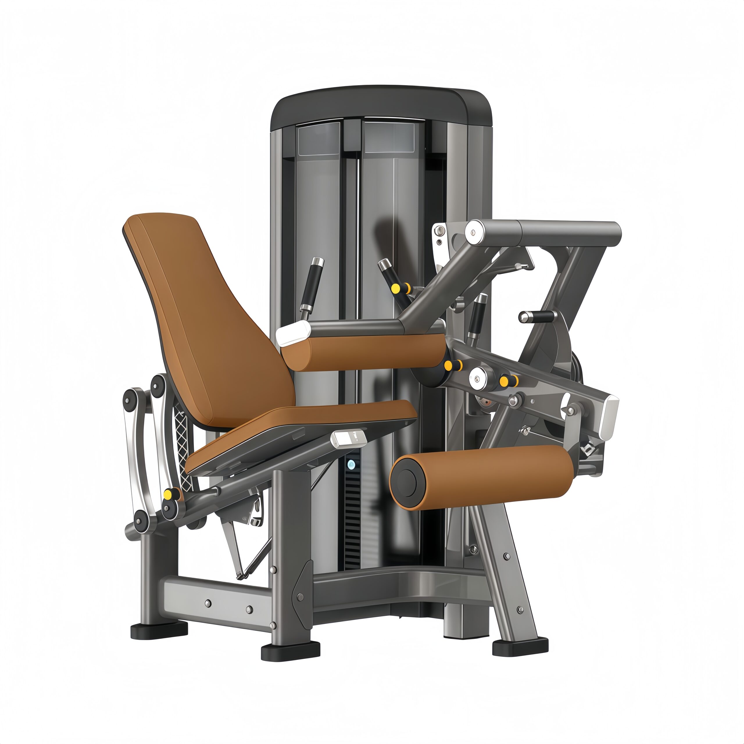 Seated Leg Curl