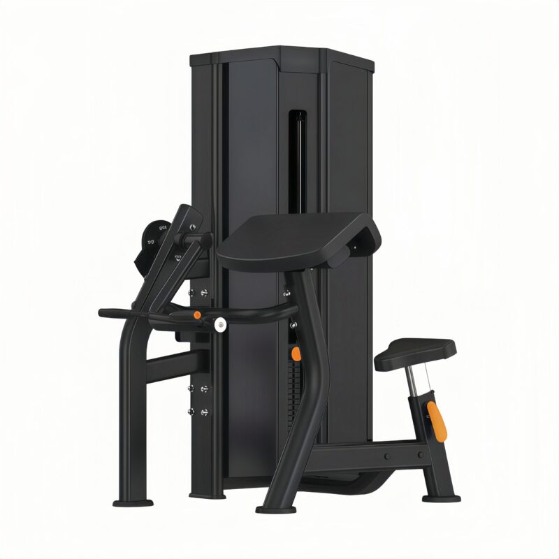 Biceps Curl