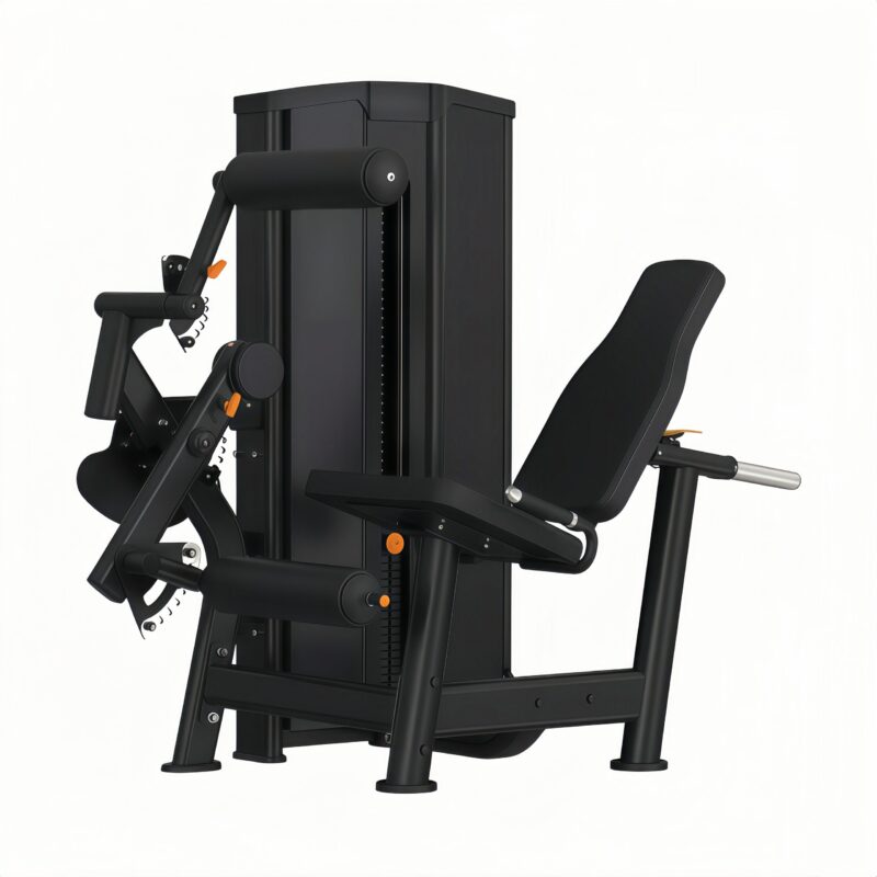 Seated Leg Curl