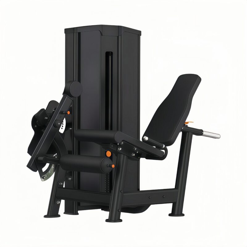 Leg Extension