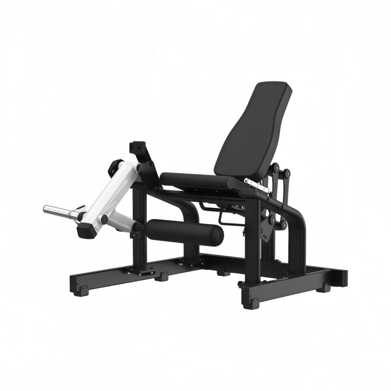 Seated Leg Extension