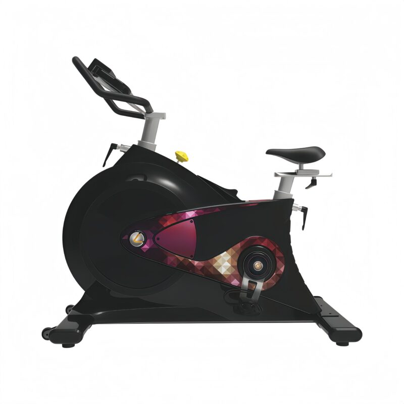 Spinning Bike