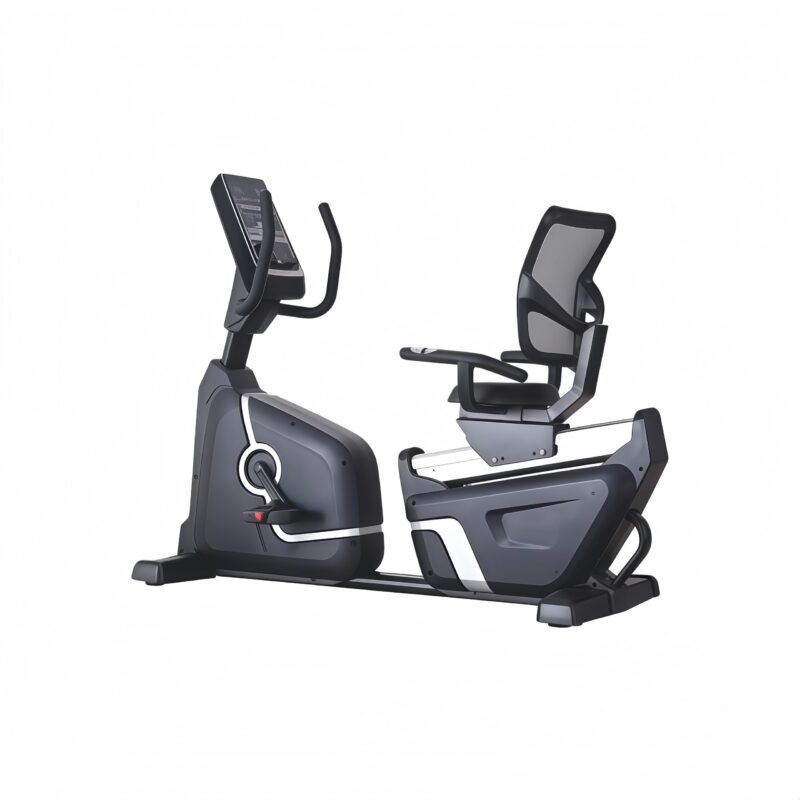 Recumbent Bike
