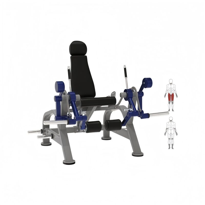 Alternate Leg Extension