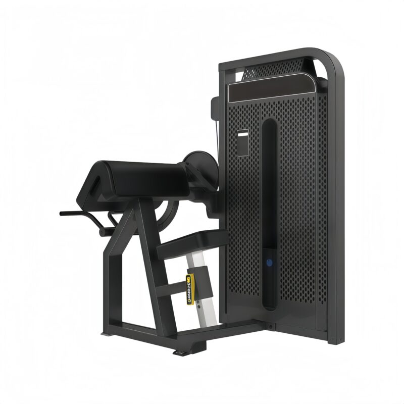 Biceps Curl/ Triceps Extension
