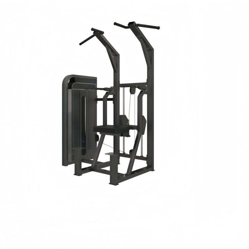 Dip / Chin Assist Machine