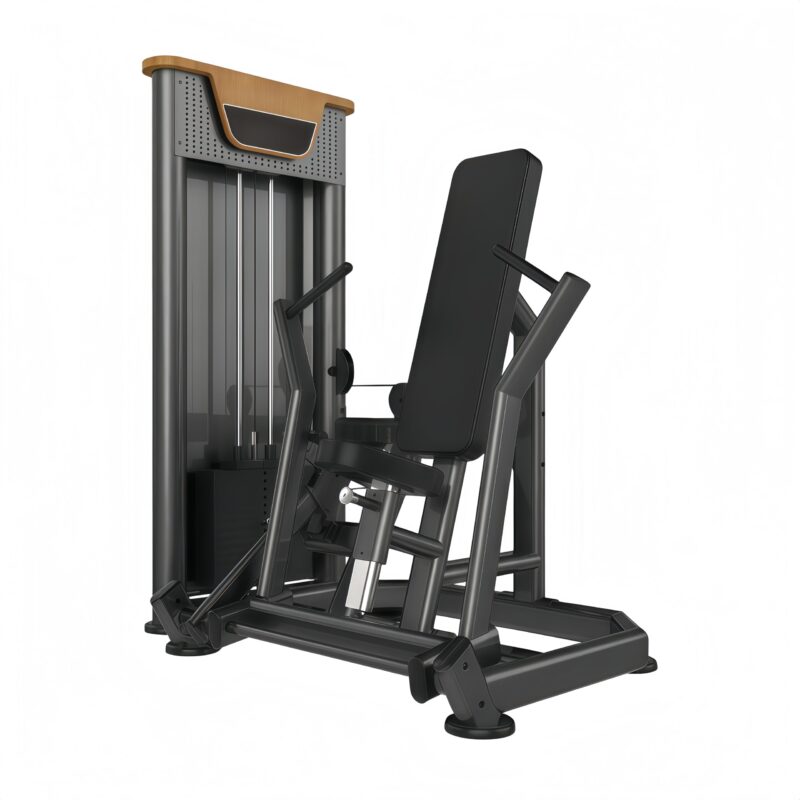 Chest Press