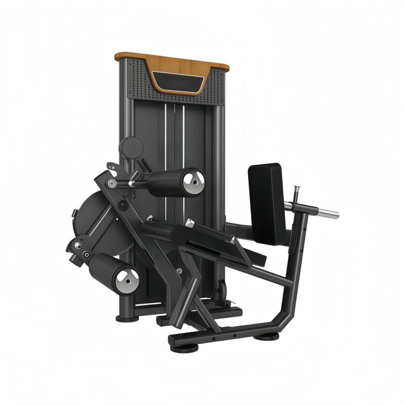 Leg Extension/ Leg Curl