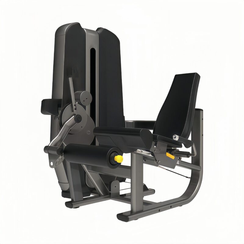 Leg Extension