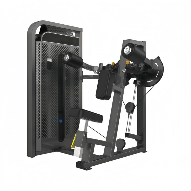 Lateral Raise