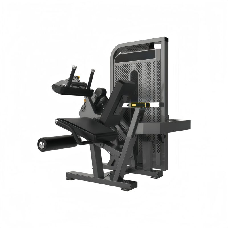 Leg Extension/ Leg Curl