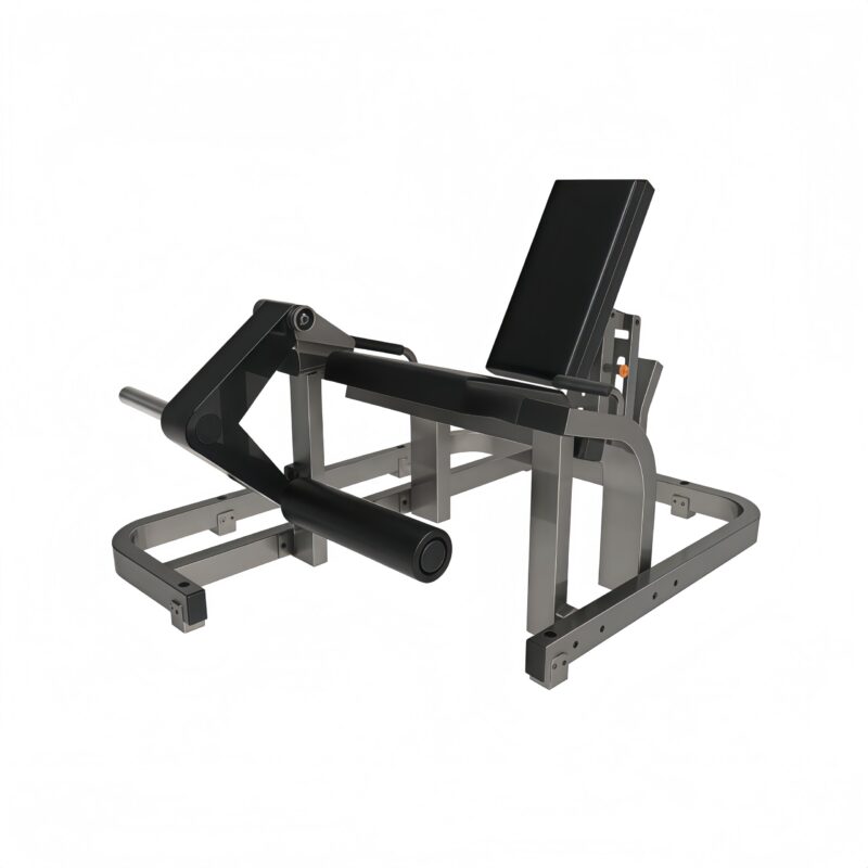 Leg Extension