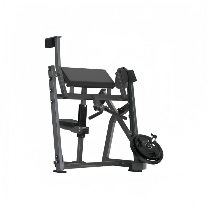 Seated Bicep Curl