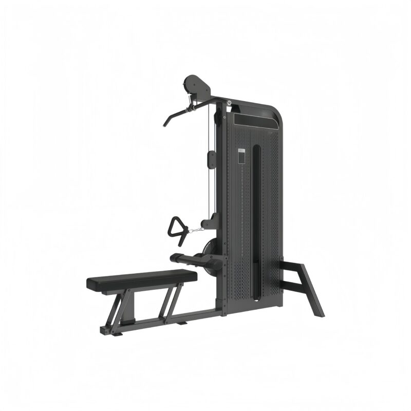 Pull Down/ Low Row