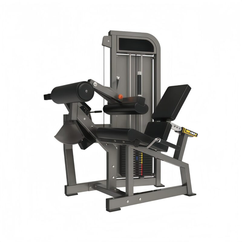 Seated Leg Curl