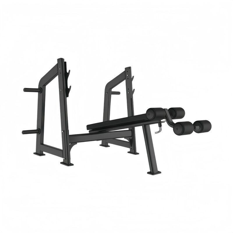 Decline Bench (luxury)