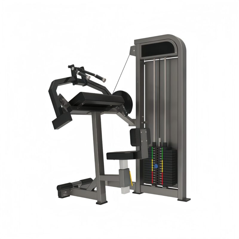 Triceps Extension