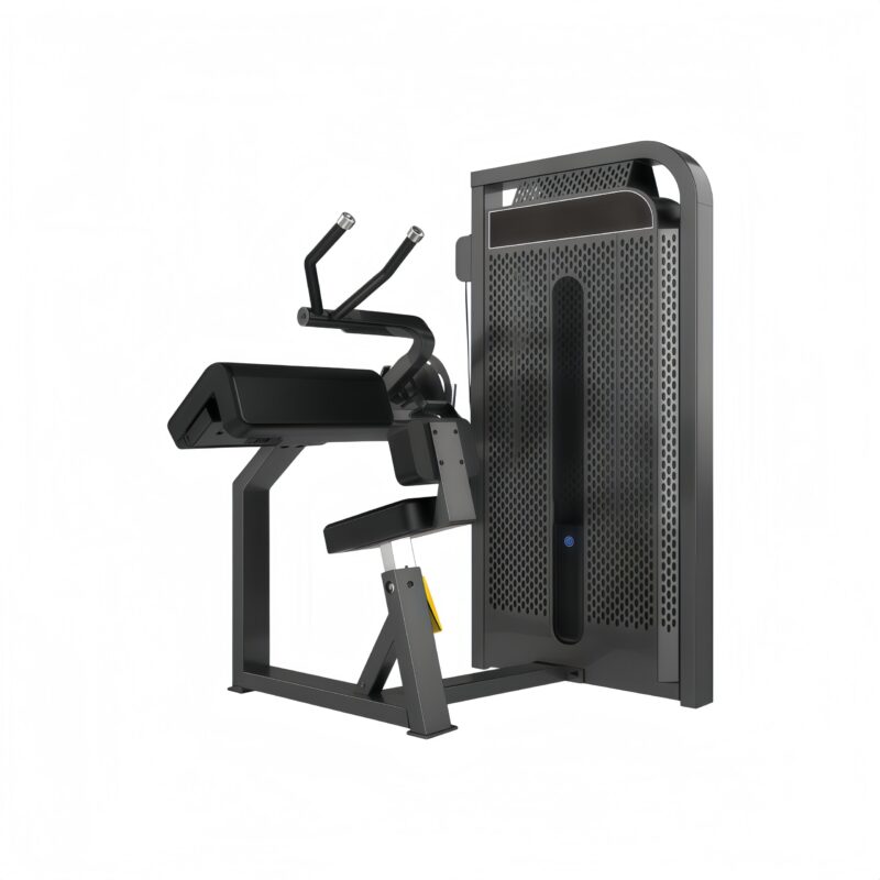 Triceps Extension